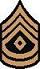 1st Sergeant