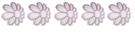 Petit Nouveau