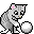 Raton curieux