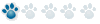 Membre
