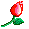 fleur3