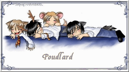 Poudlard, un monde sans fin Forum Index