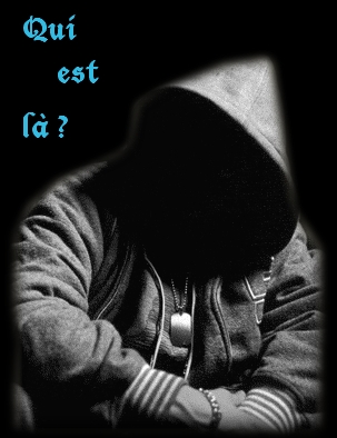 Qui est en ligne ?