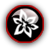 No new posts [ Popular ]