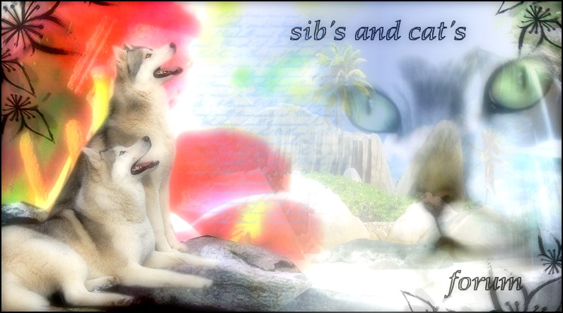 sib's and cat's Forum Index
