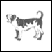 狗 Chien