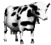 Vache