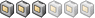Membre