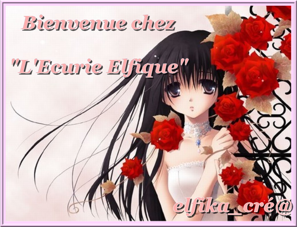 ♥♥♀♂ Écurie elfike ♂♀♥♥ Forum Index