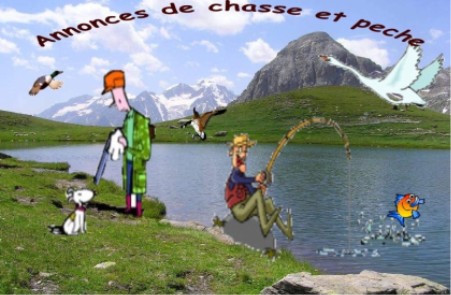 Annonces Chasse et Pêche Forum Index