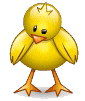 poussin