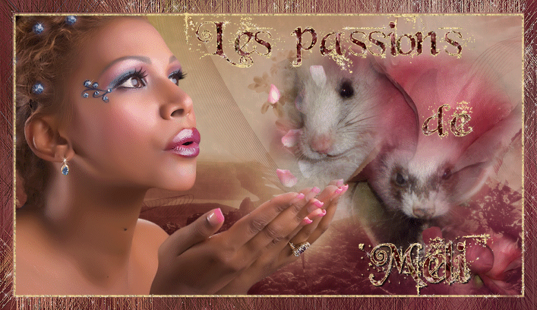 Forum les passions de Meli! Forum Index