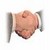 http://img1.xooimage.com/files/4/e/c/recrutement-26cde9.jpg