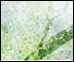 Ce forum est verrouillé; vous ne pouvez pas poster, ni répondre, ni éditer les sujets. Ce forum est verrouillé; vous ne pouvez pas poster, ni répondre, ni éditer les sujets.