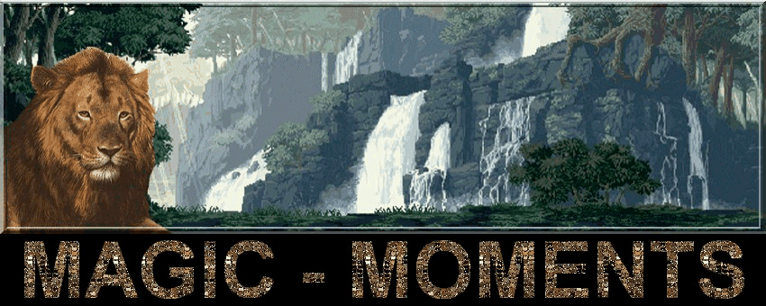 Magic Moments