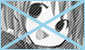 No new posts [ Locked ]