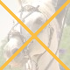 Forum is locked