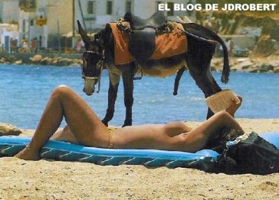 no es lo mismo que el burro llege a la meta que te la meta el burro