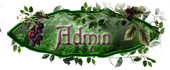 Admin Admin