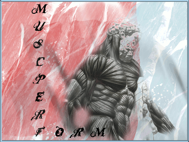 Muscuperform Forum Index