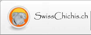 Forum SwissChichis Forum Index