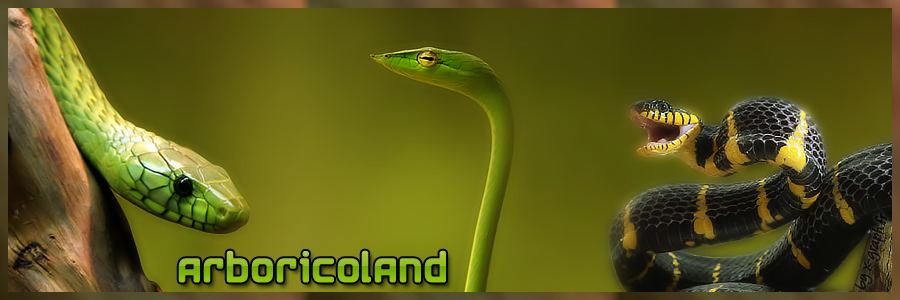Arboricoland Forum Index