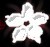 New posts