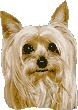 http://img1.xooimage.com/files/a/5/2/chiens_83-fee3.gif