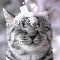 No new posts No new posts