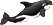 orque