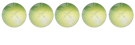 Petit Nouveau