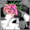 No new posts [ Locked ]