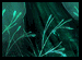 No new posts