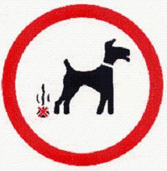 Enseñar al perro a hacer sus necesidades