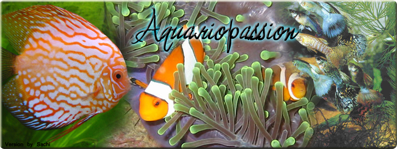 AquarioPassion Forum Index