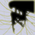 New posts