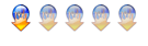 Membre