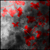 New posts [ Locked ]