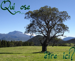 Qui est en ligne ?