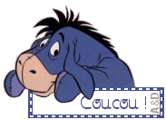 coucou!