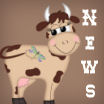 New posts
