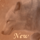 New posts