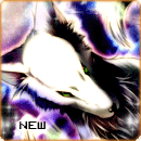 New posts [ Popular ]