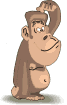 :ape: