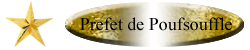 Prefet Poufsouffle Prefet Poufsouffle