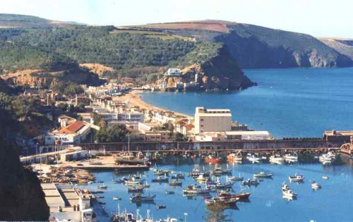Ouled BENI-SAF  Forum Index