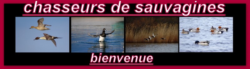 chasseurs de sauvagines Forum Index