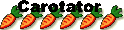 Fondatrice Fondatrice