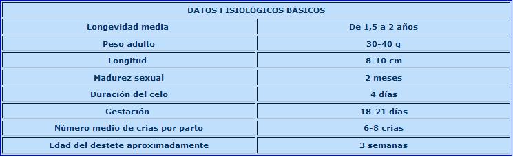 cuidados cuidados