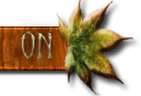 Log in